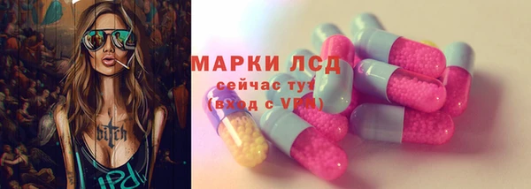 ГАЛЛЮЦИНОГЕННЫЕ ГРИБЫ Арсеньев