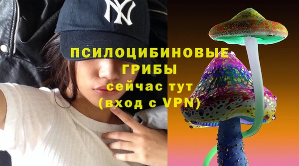 ГАЛЛЮЦИНОГЕННЫЕ ГРИБЫ Арсеньев