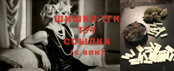 ГАЛЛЮЦИНОГЕННЫЕ ГРИБЫ Арсеньев